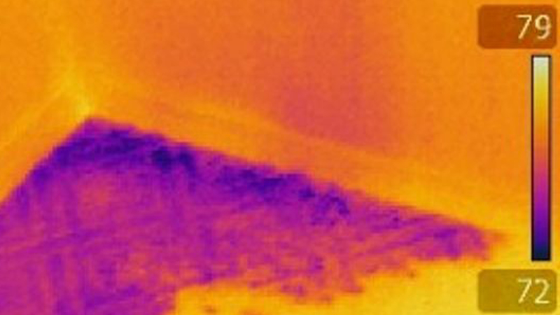 Thermal Imaging The purple area shows water damage to the sub floor alexandria va